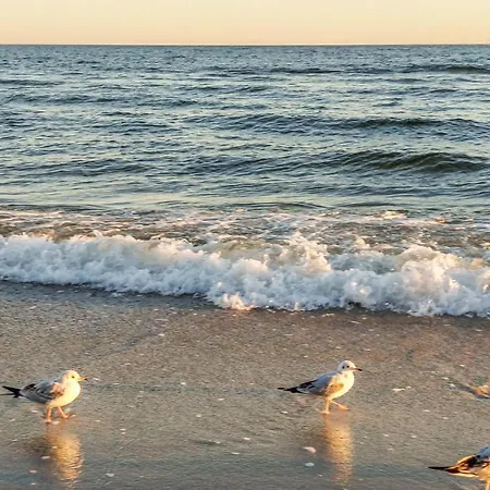 아파트 Amazing In Jezierzany