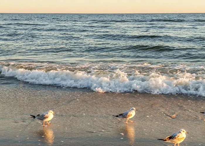 شقة Amazing In Jezierzany